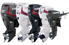 Поддержка двигателей Evinrude